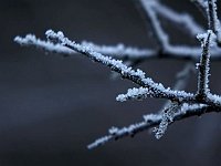 sottozero (5)